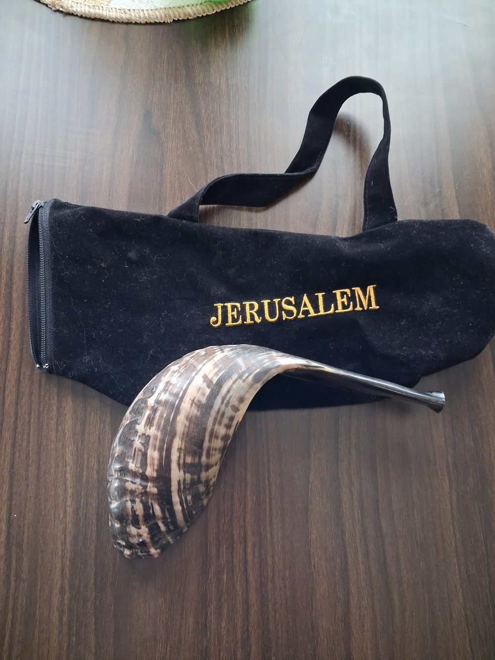 Shofar Musical Horn